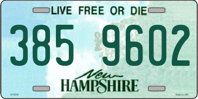 NH license plate 3859602