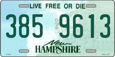 NH license plate 3859613