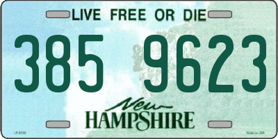 NH license plate 3859623