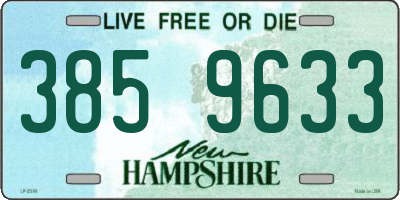 NH license plate 3859633
