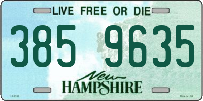 NH license plate 3859635