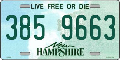 NH license plate 3859663