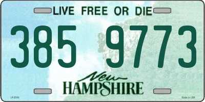 NH license plate 3859773