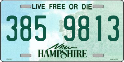 NH license plate 3859813