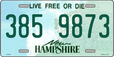 NH license plate 3859873