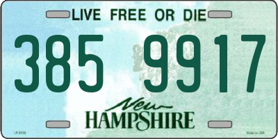 NH license plate 3859917