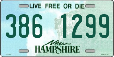NH license plate 3861299