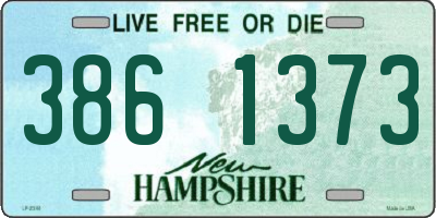 NH license plate 3861373