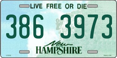 NH license plate 3863973