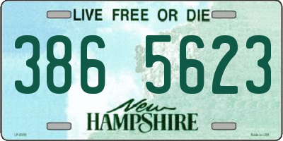 NH license plate 3865623