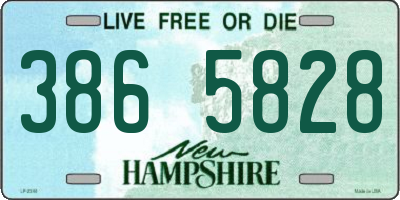 NH license plate 3865828
