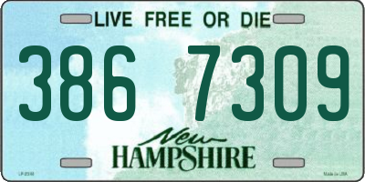 NH license plate 3867309