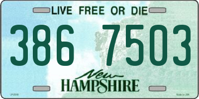 NH license plate 3867503