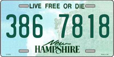 NH license plate 3867818