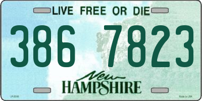 NH license plate 3867823