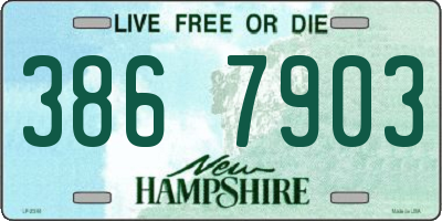 NH license plate 3867903