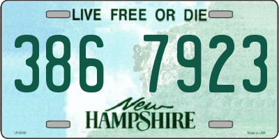 NH license plate 3867923