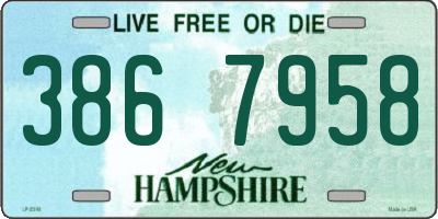 NH license plate 3867958