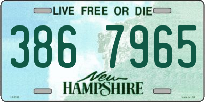 NH license plate 3867965