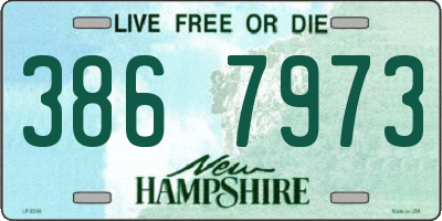 NH license plate 3867973