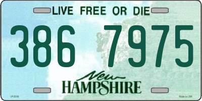NH license plate 3867975
