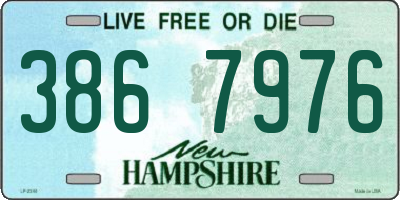 NH license plate 3867976