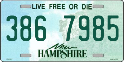 NH license plate 3867985