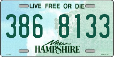 NH license plate 3868133