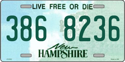 NH license plate 3868236