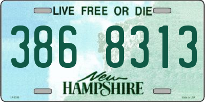 NH license plate 3868313