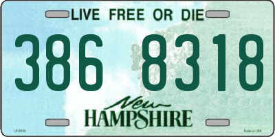 NH license plate 3868318