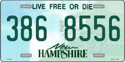NH license plate 3868556