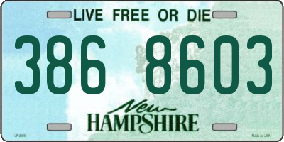 NH license plate 3868603