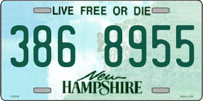 NH license plate 3868955