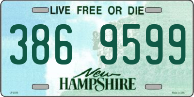 NH license plate 3869599