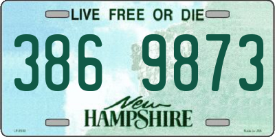 NH license plate 3869873
