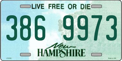 NH license plate 3869973