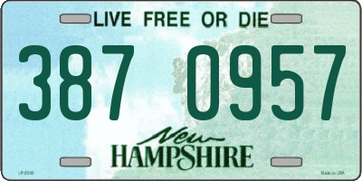 NH license plate 3870957