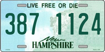 NH license plate 3871124