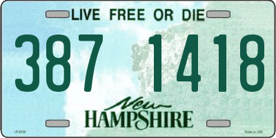NH license plate 3871418