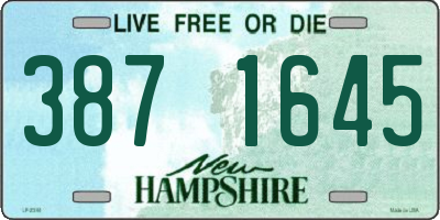 NH license plate 3871645