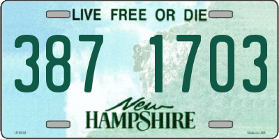 NH license plate 3871703