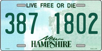 NH license plate 3871802