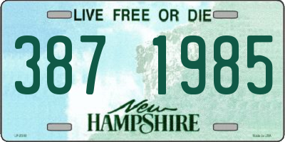 NH license plate 3871985