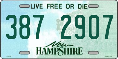 NH license plate 3872907