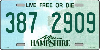 NH license plate 3872909