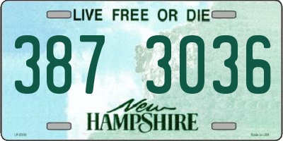 NH license plate 3873036