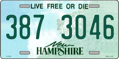 NH license plate 3873046
