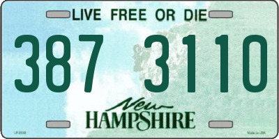 NH license plate 3873110
