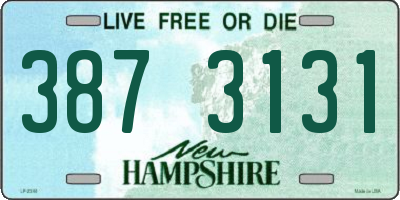 NH license plate 3873131